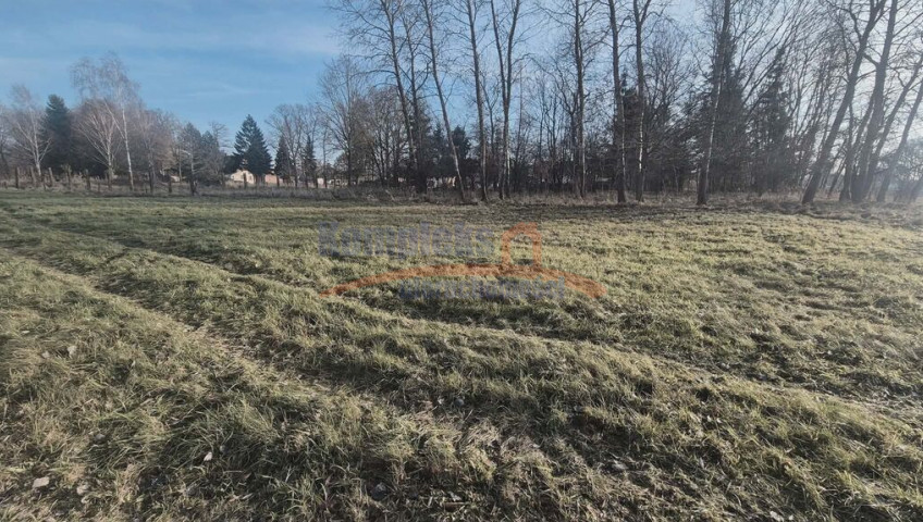 Działka Sprzedaż Tatynia