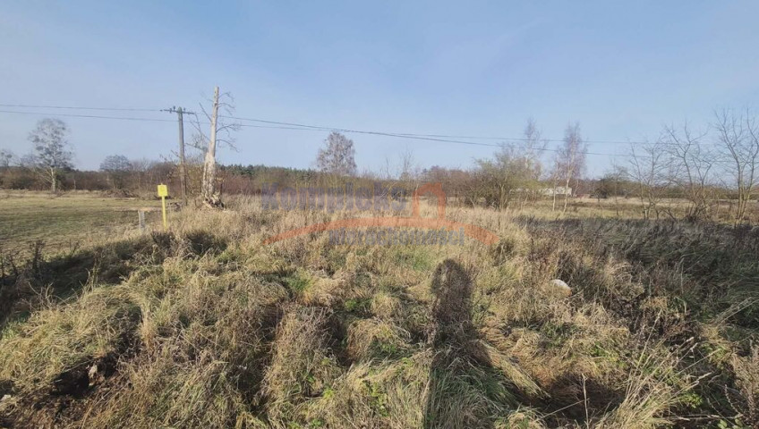 Działka Sprzedaż Tatynia