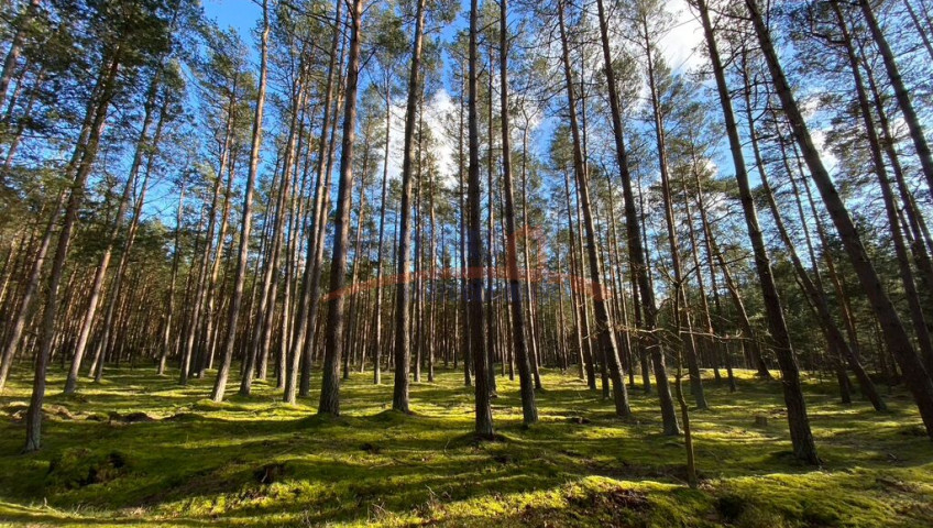 Mieszkanie Sprzedaż Łukęcin Spacerowa
