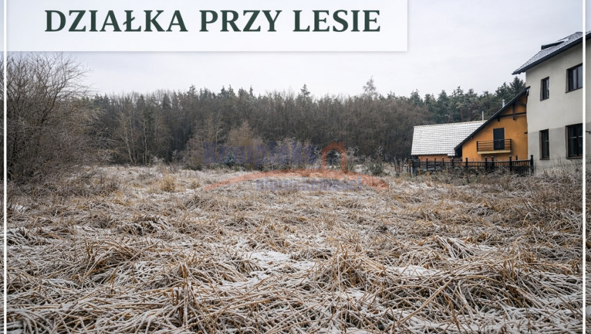 Działka Sprzedaż Pilchowo