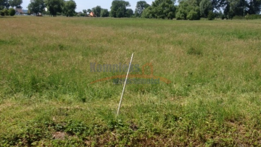 Działka Sprzedaż Lubczyna Kasztanowa