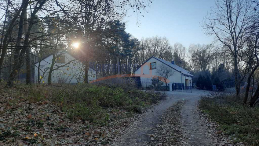 Działka Sprzedaż Czepino