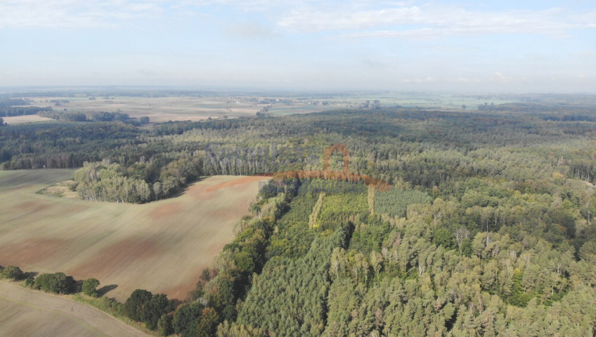 Działka Sprzedaż Rów