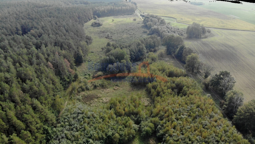 Działka Sprzedaż Rów