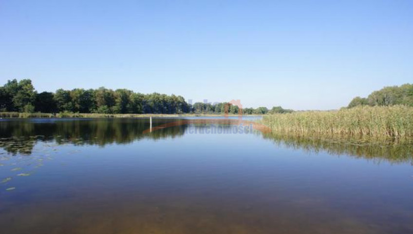Działka Sprzedaż Dobra