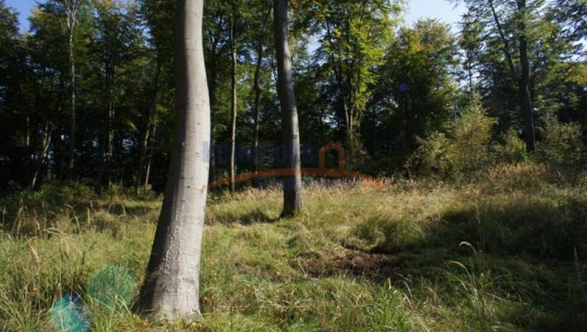 Działka Sprzedaż Dobra