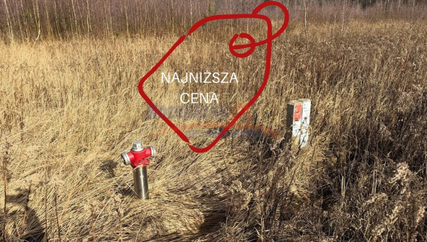 Działka Sprzedaż Żółwia Błoć