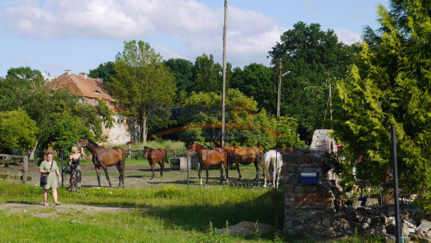 Obiekt Sprzedaż Sulimierz
