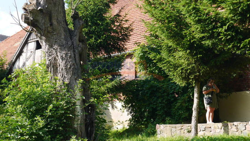 Obiekt Sprzedaż Sulimierz