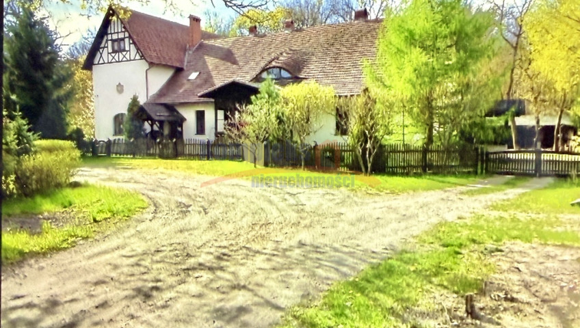Lokal Sprzedaż Żagań