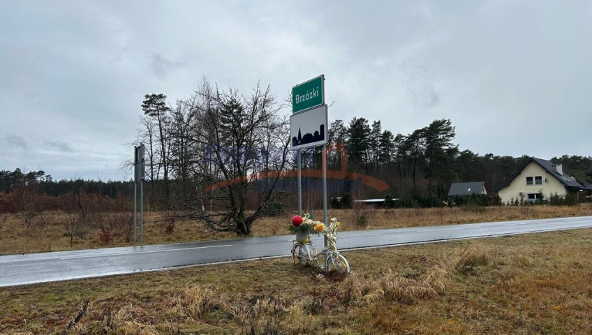 Działka Sprzedaż Brzózki