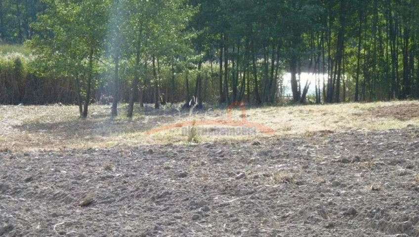 Działka Sprzedaż Zieleniewo