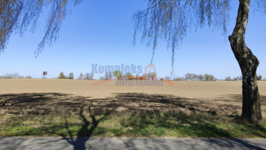 Działka Sprzedaż Wojcieszyn