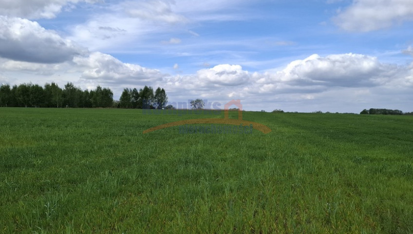 Działka Sprzedaż Bagna