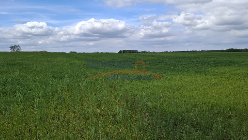 Działka Sprzedaż Bagna