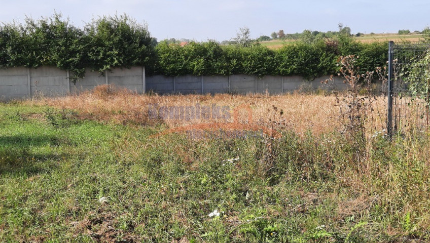 Działka Sprzedaż Kurów Na Klifie
