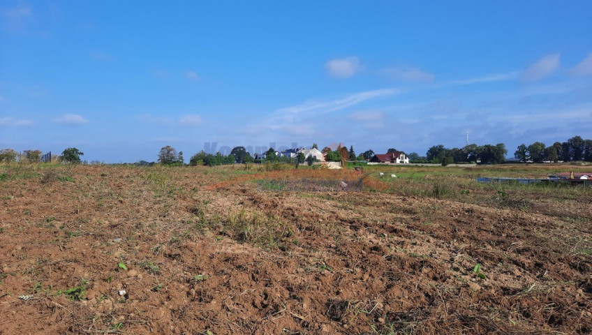 Działka Sprzedaż Kurów Na Klifie