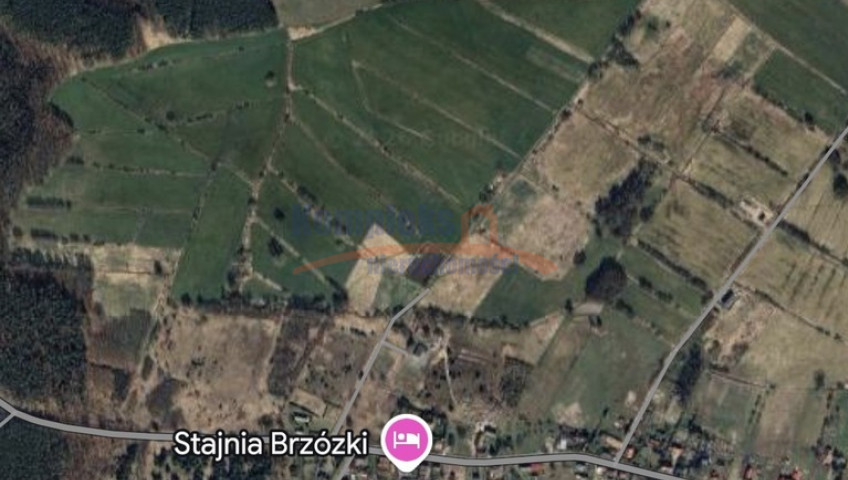 Działka Sprzedaż Brzózki