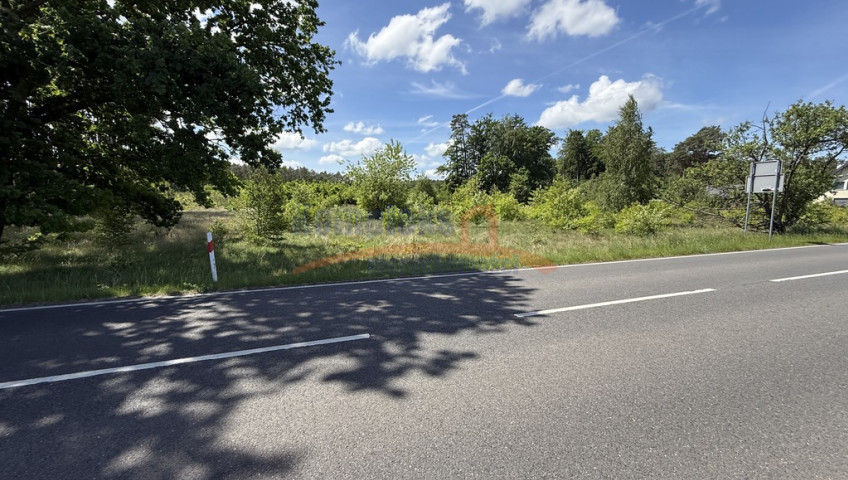 Działka Sprzedaż Brzózki