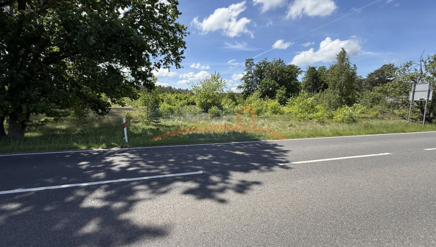 Działka Sprzedaż Brzózki