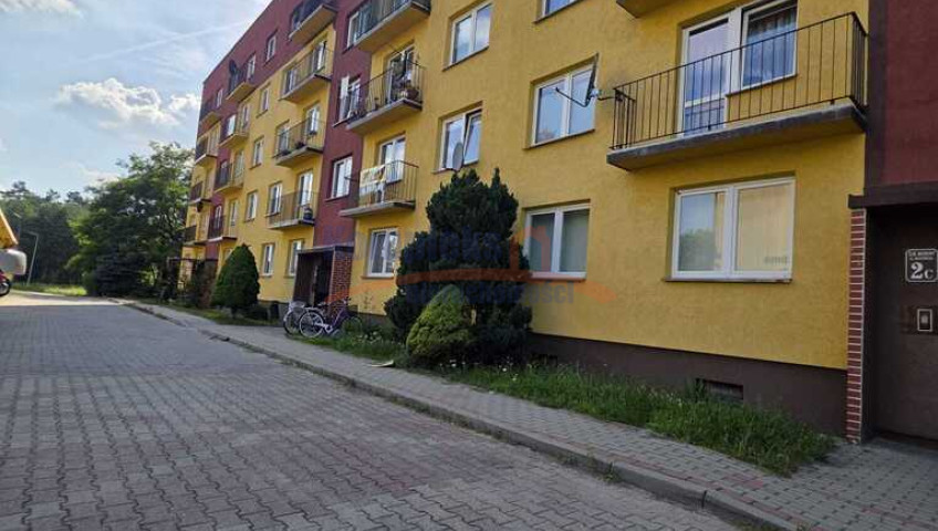 Mieszkanie Sprzedaż Borne Sulinowo Adama Mickiewicza