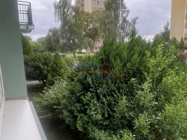 2 rozkładowe pokoje  ,parter/4 okol. Książąt.