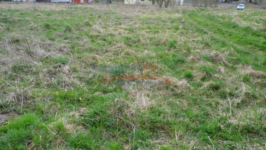 Działka Sprzedaż Brzózki