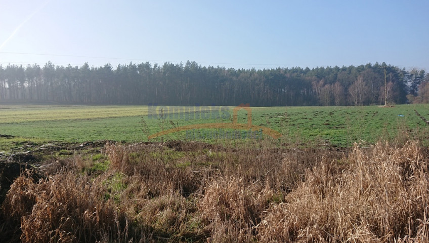 Obiekt Sprzedaż Raduń