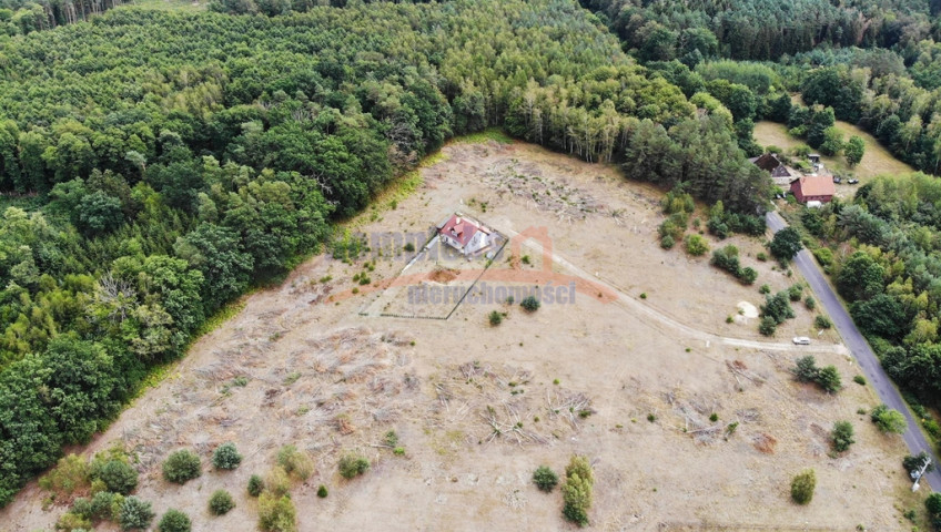 Działka Sprzedaż Stepnica