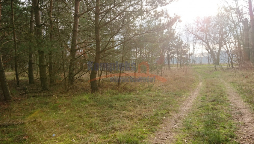 Działka Sprzedaż Starzyce