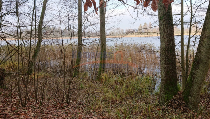 Działka Sprzedaż Starzyce