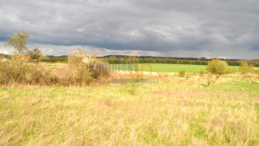 Działka Sprzedaż Binowo