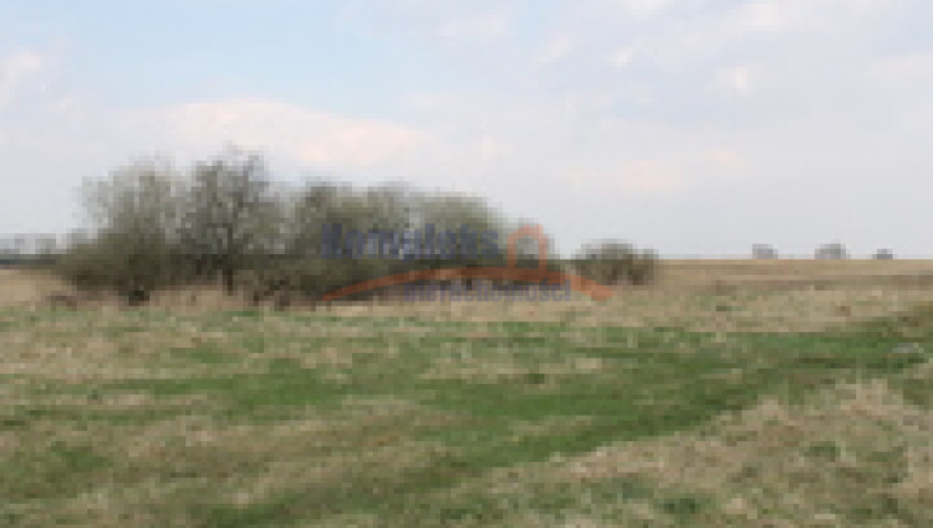 Działka Sprzedaż Barnisław