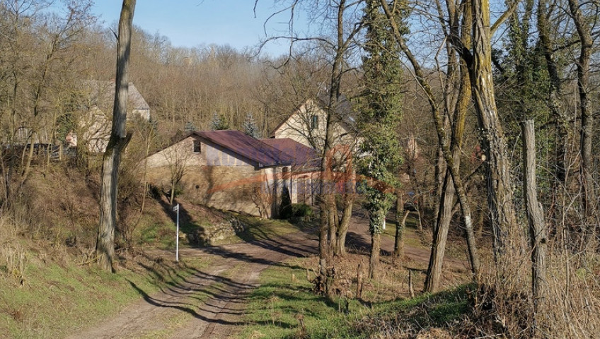 Dom Sprzedaż Stary Kostrzynek