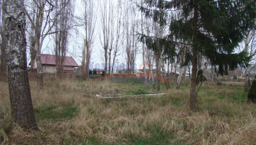 Działka Sprzedaż Pniewo