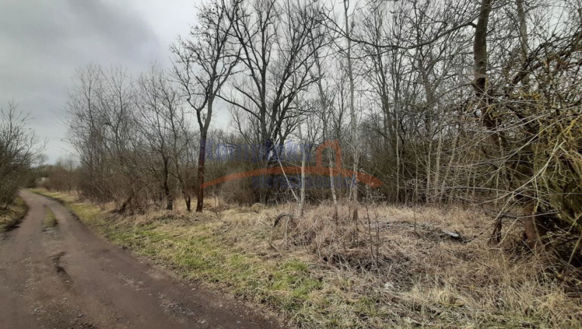 Działka Sprzedaż Karwowo