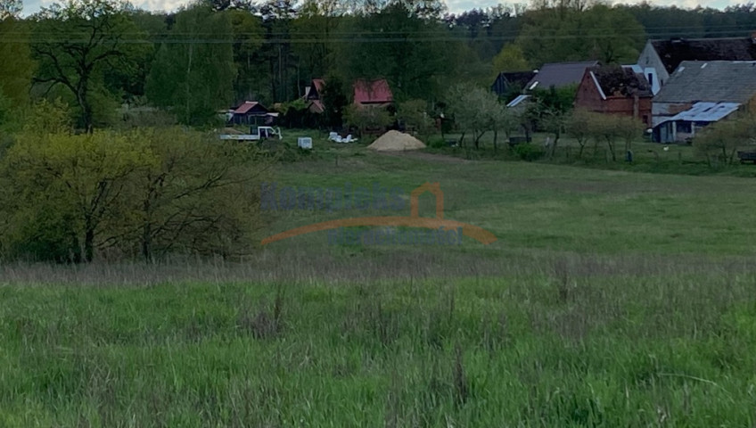 Działka Sprzedaż Rogowo