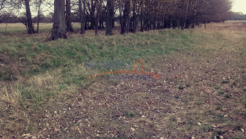 Działka Sprzedaż Łęgi