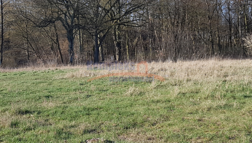 Działka Sprzedaż Kościno