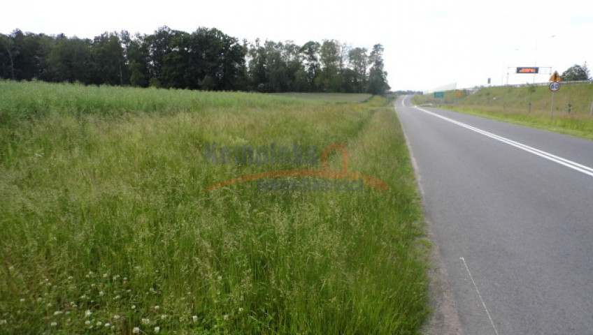 Działka Sprzedaż Olchowo