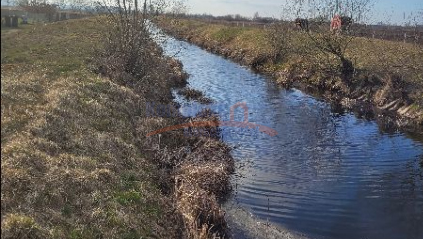 Działka Sprzedaż Lubczyna