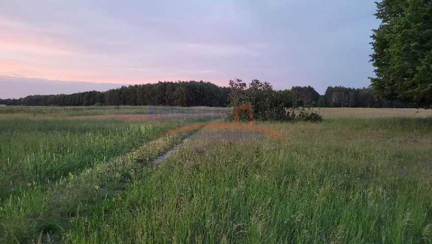 Działka Sprzedaż Lubczyna