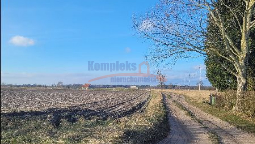 Działka Sprzedaż Lubczyna