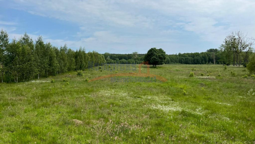 Działka Sprzedaż Żarowo