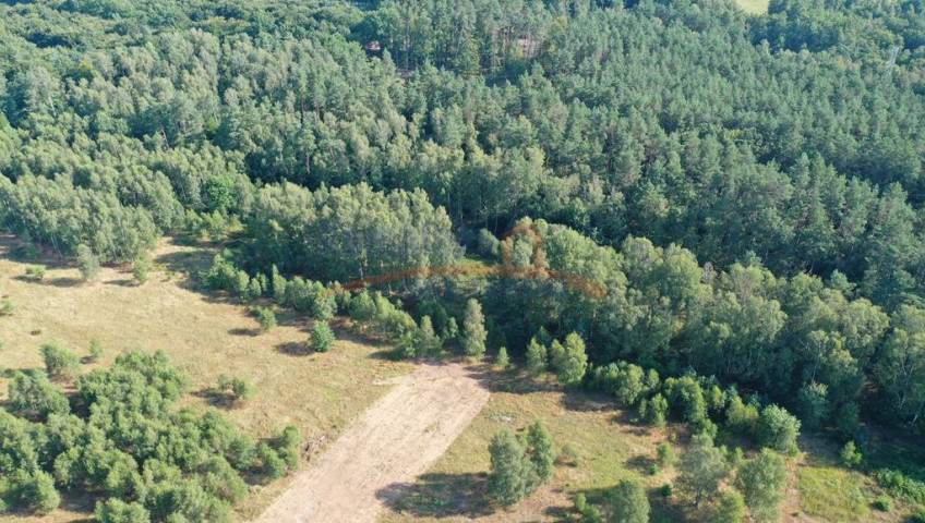 Działka Sprzedaż Krzywice