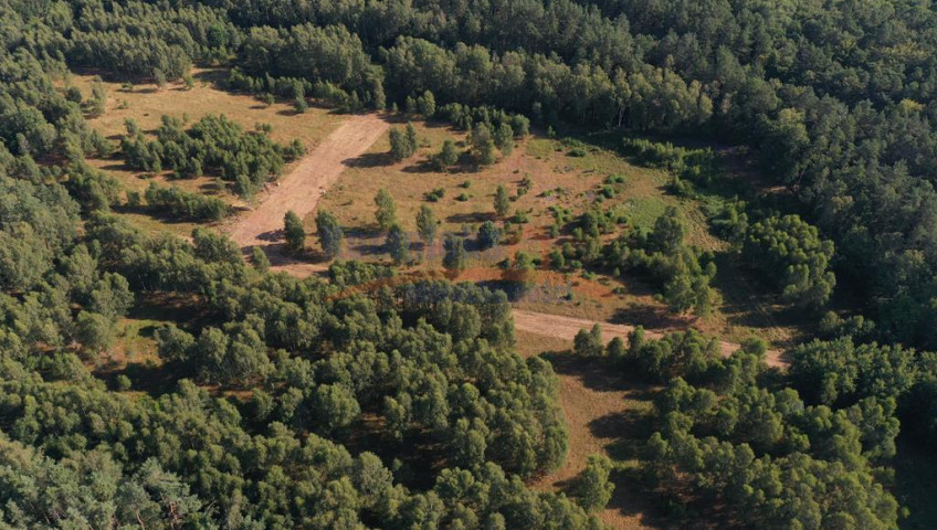Działka Sprzedaż Krzywice