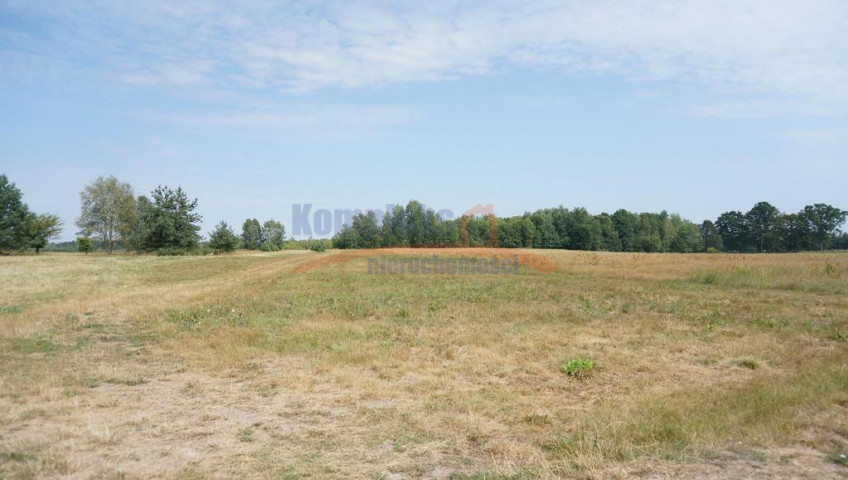 Działka Sprzedaż Przybiernów