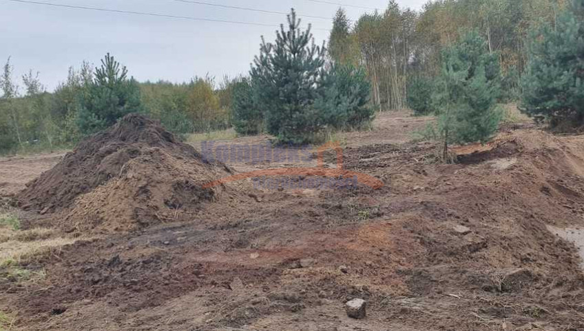 Działka Sprzedaż Borzyszewo