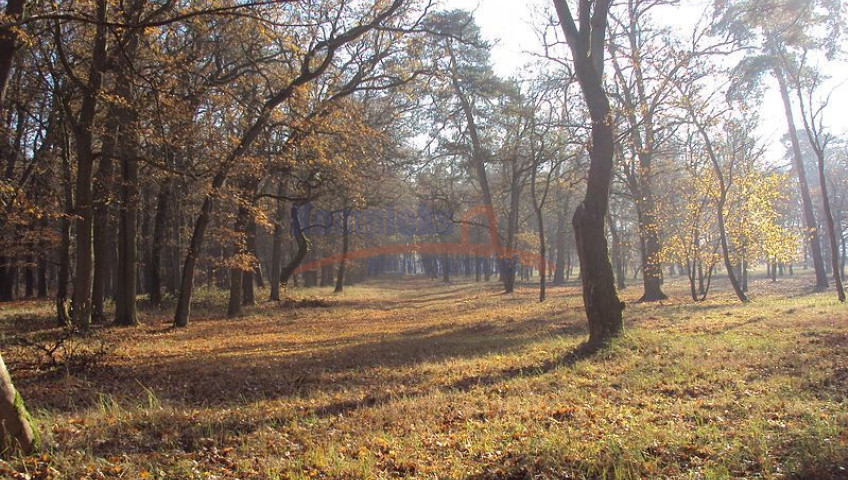 Działka Sprzedaż Rzędziny
