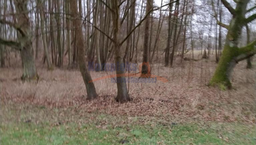 Działka Sprzedaż Rzędziny